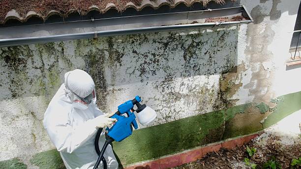 Top rated local Mold Cleanup specialists in Liverpool, PA